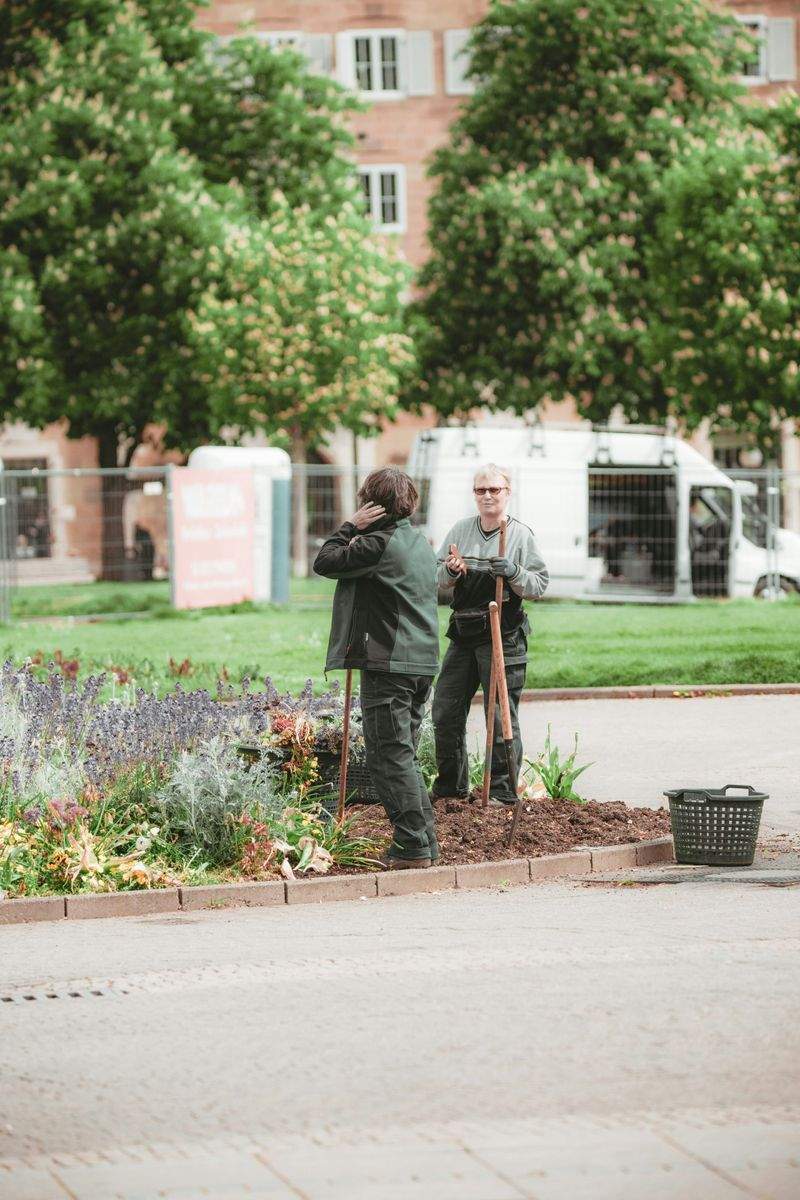 Réaménagement du jardin d’entrée pour une entreprise locale